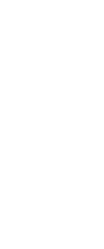 eisbaer